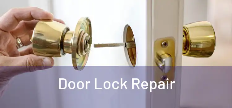Door Lock Repair